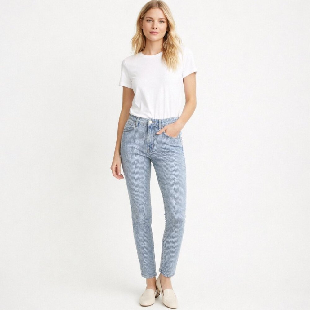 Madewell Blue and White Pinstripe Skinny Jeans